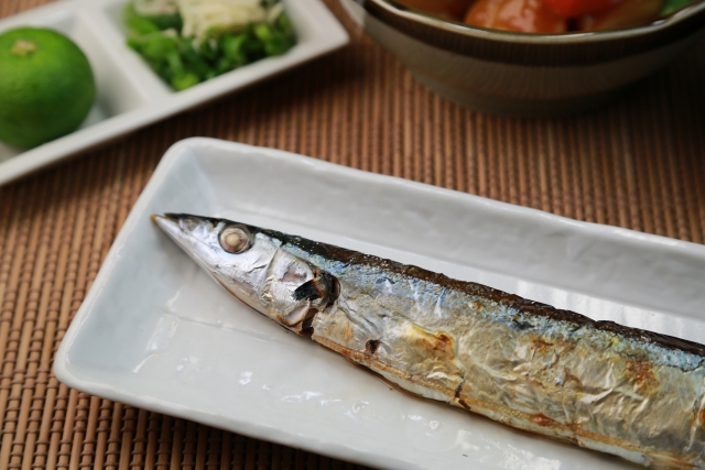 魚